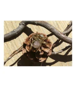 Anillo Ajustable Mosca-Salvador Bachiller Discount