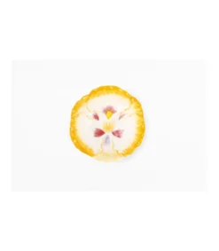 Bol Flor Pintado A Mano Diametro 12.5cm Love&home-Salvador Bachiller Online