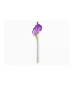 Bolígrafo Cala Stationary-Salvador Bachiller Clearance
