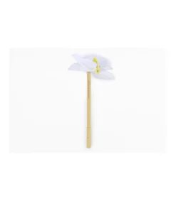 Bolígrafo Orquidea Stationary-Salvador Bachiller Hot