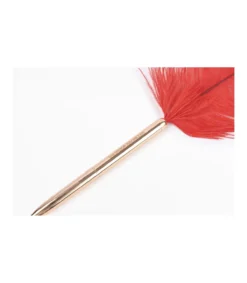 Bolígrafo Pluma Stationary-Salvador Bachiller