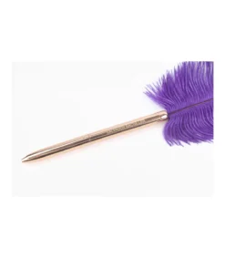 Bolígrafo Pluma Stationary-Salvador Bachiller Clearance