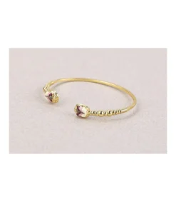 Brazalete escarabajo-Salvador Bachiller New