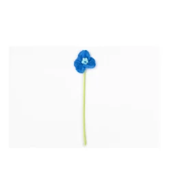 Flor Amapola Crochet Love&home-Salvador Bachiller Hot