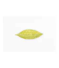 Plato Hoja 23x8x3cm Love&home-Salvador Bachiller Online