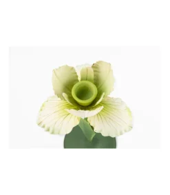 Portavelas Iris 12x11.5x24cm Love&home-Salvador Bachiller