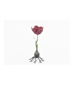 Portavelas Tulipan Alto 25cm Love&home-Salvador Bachiller Sale