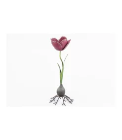 Portavelas Tulipan Alto 30cm Love&home-Salvador Bachiller Best
