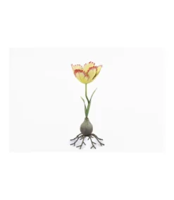 Portavelas Tulipan Alto 25cm Love&home-Salvador Bachiller Clearance