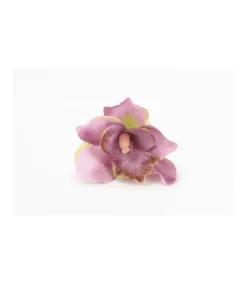 Servilletero Orquidea Love&home-Salvador Bachiller Outlet